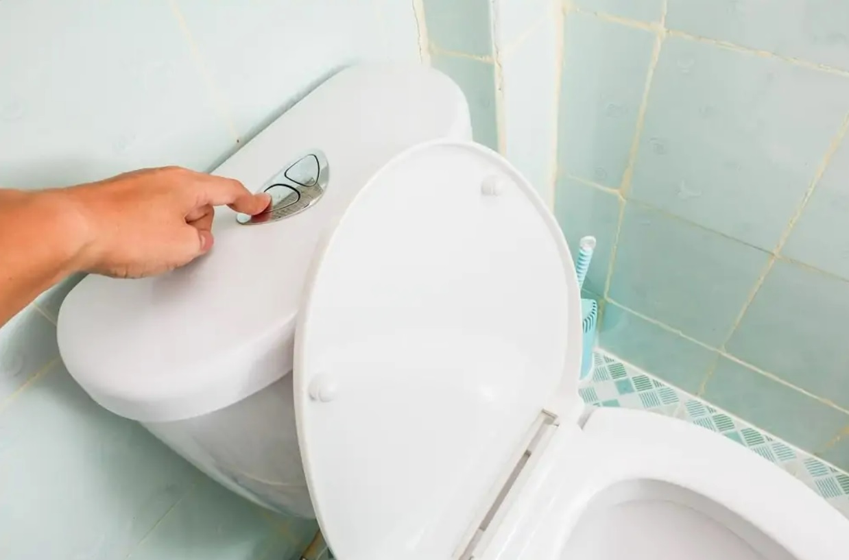 What Are Dual Flush Toilets & How Does It Work