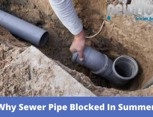 3 Reasons Why Sewer Pipe Blocked In Summer