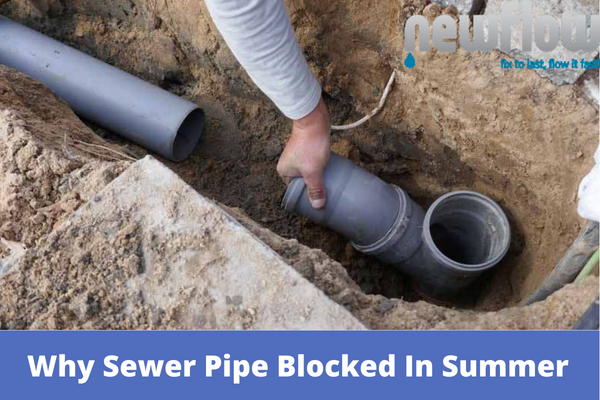 Why Sewer Pipe Blocked In Summer
