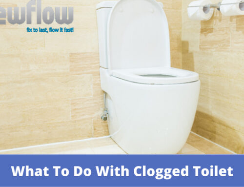 What To Do With Clogged Toilet