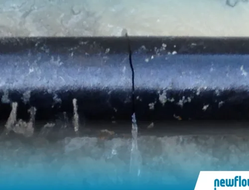 What to Do When Your Water Main Breaks